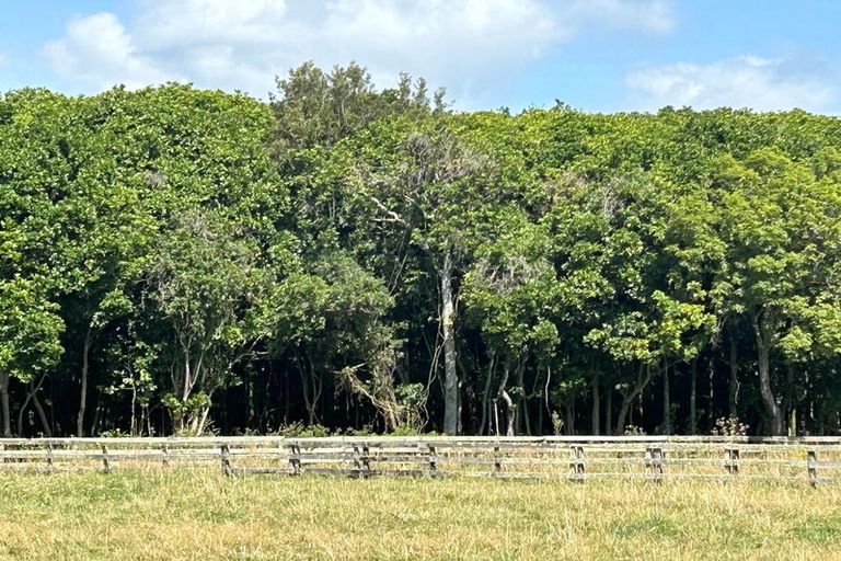 Photo of property in 43 School Road, Te Horo, Otaki, 5582