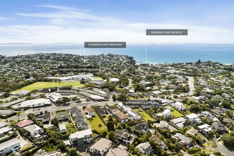 Photo of property in 1/9 Marigold Place, Mairangi Bay, Auckland, 0630