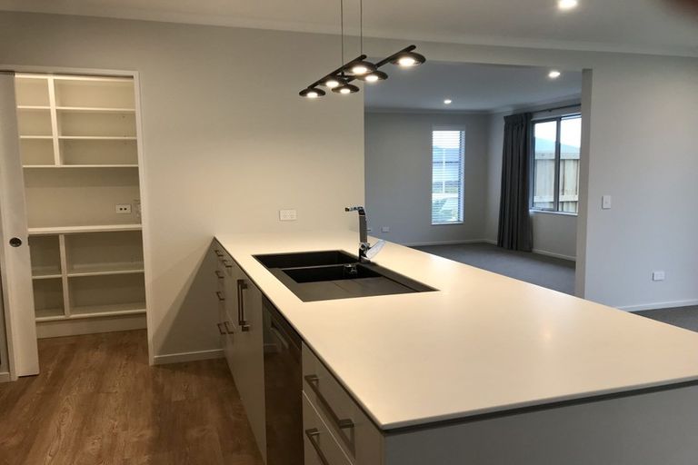 Photo of property in 98 Berryfield Drive, Appleby, Richmond, 7020