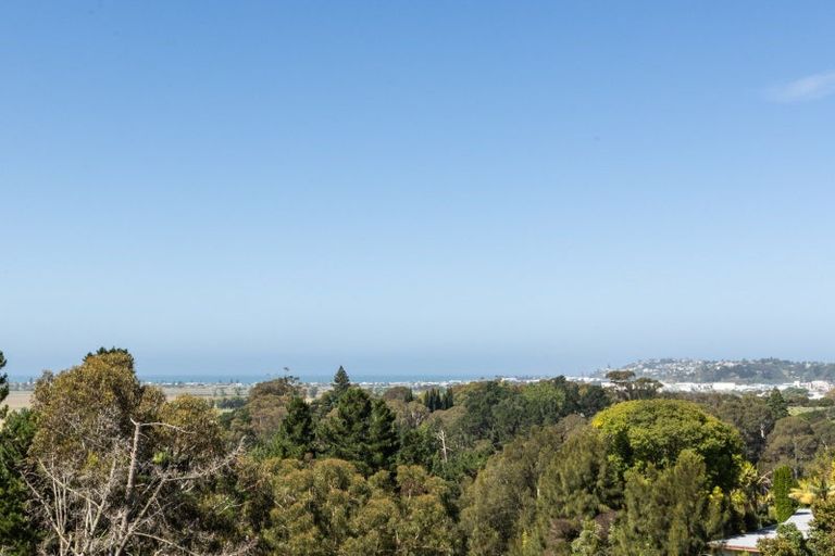 Photo of property in 97 Oak Road, Poraiti, Napier, 4112