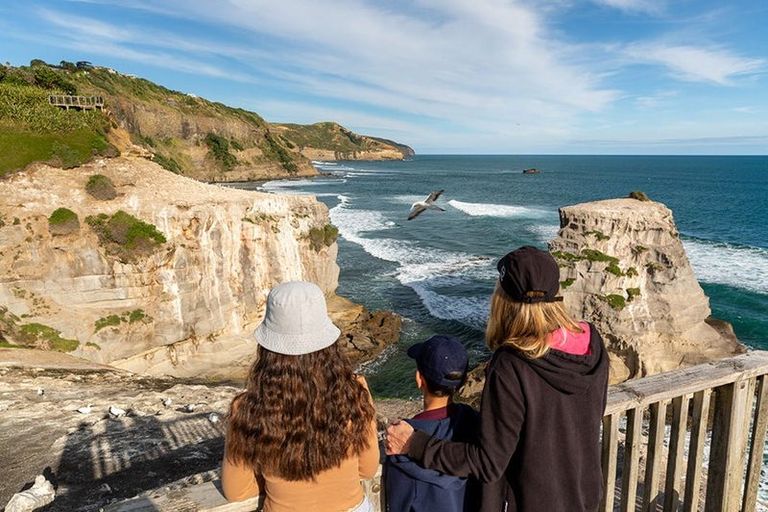 Photo of property in 7 Oranga Drive, Westgate, Auckland, 0614