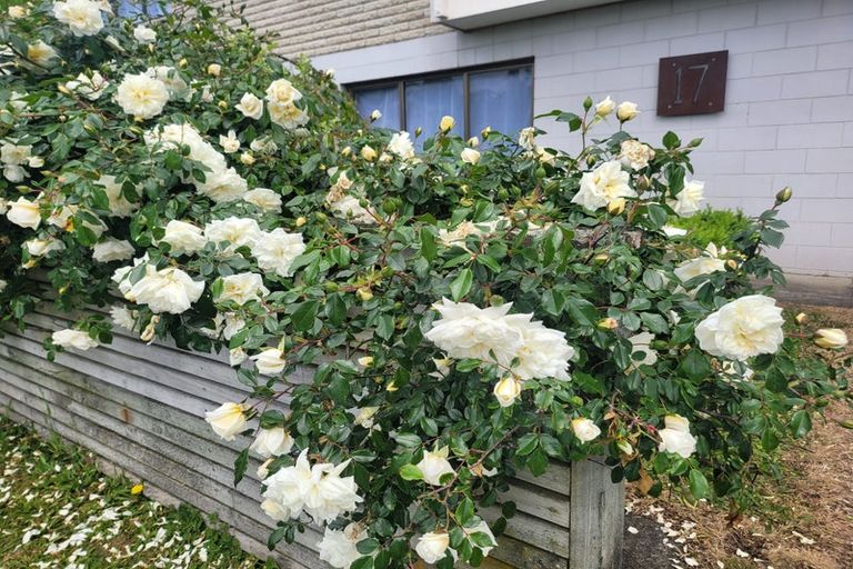 Photo of property in 17 Hakanoa Street, Huntly, 3700