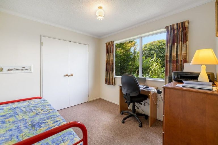 Photo of property in 52 Sunrise Avenue, Mount Maunganui, 3116