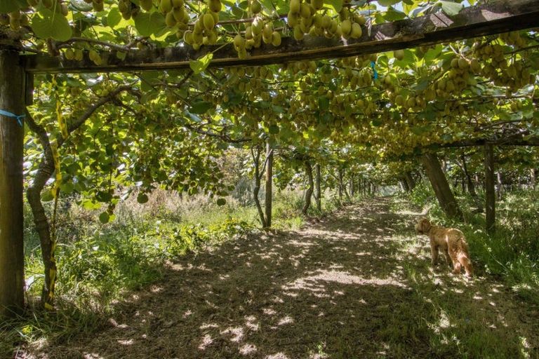 Photo of property in 231 Walford Road, Aongatete, Katikati, 3181