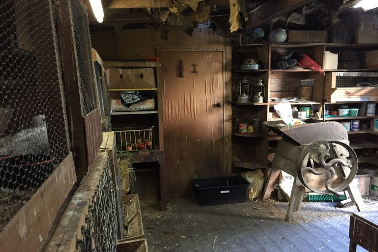 Photo of property in 261 Signal Hill Road, Opoho, Dunedin, 9010