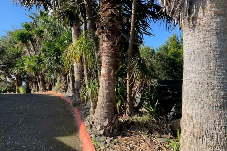 Photo of property in 706 Ponga Road, Opaheke, Papakura, 2584