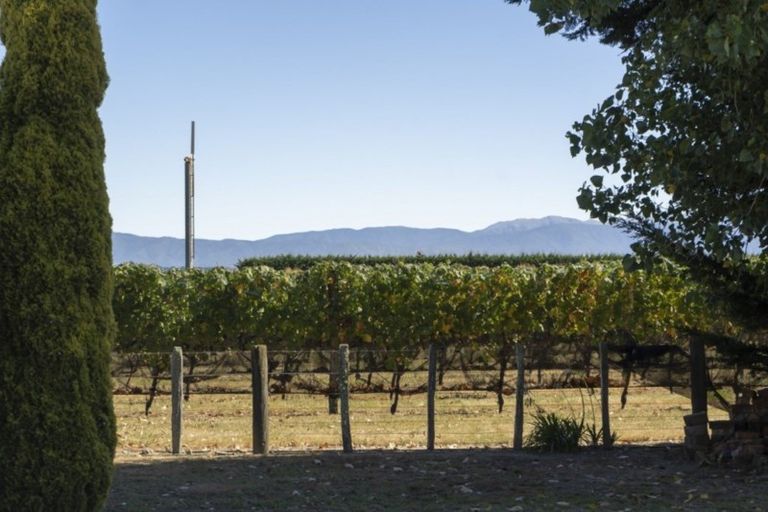 Photo of property in 3 Grey Street, Martinborough, 5711