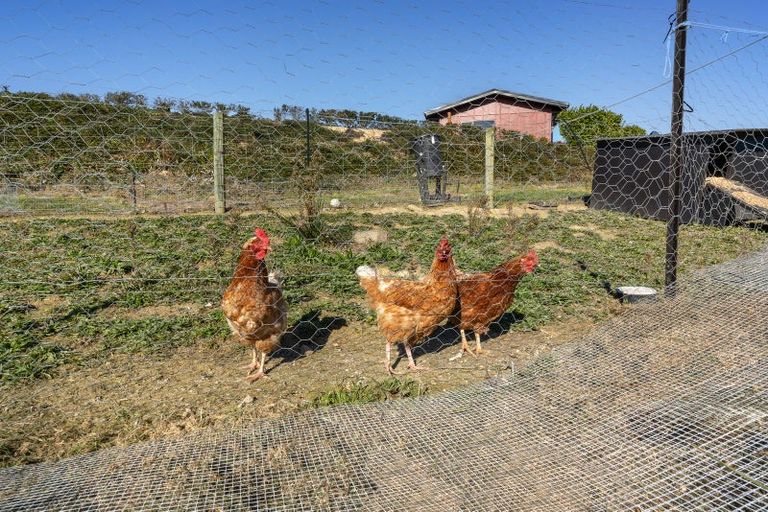 Photo of property in 92 Tiro Kina Road, Tasman, Upper Moutere, 7175