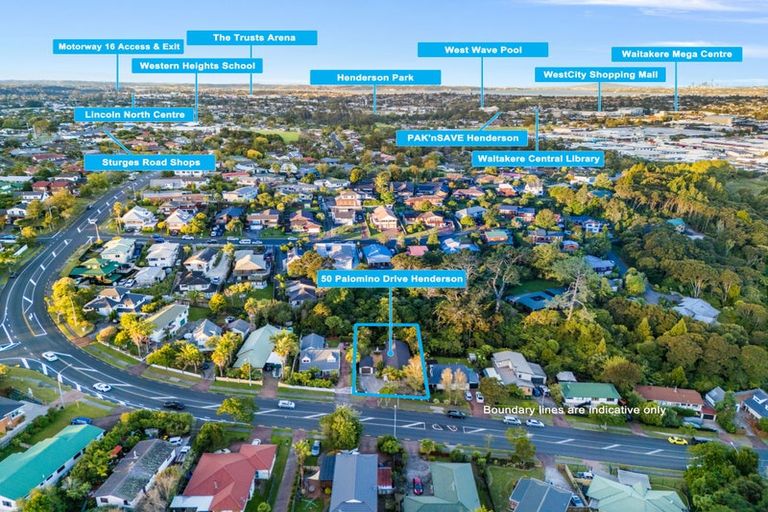 Photo of property in 50 Palomino Drive, Henderson, Auckland, 0612