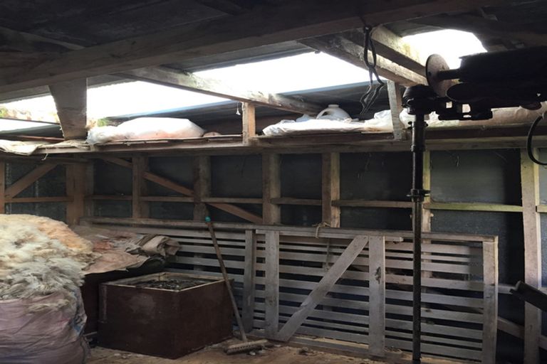 Photo of property in 261 Signal Hill Road, Opoho, Dunedin, 9010