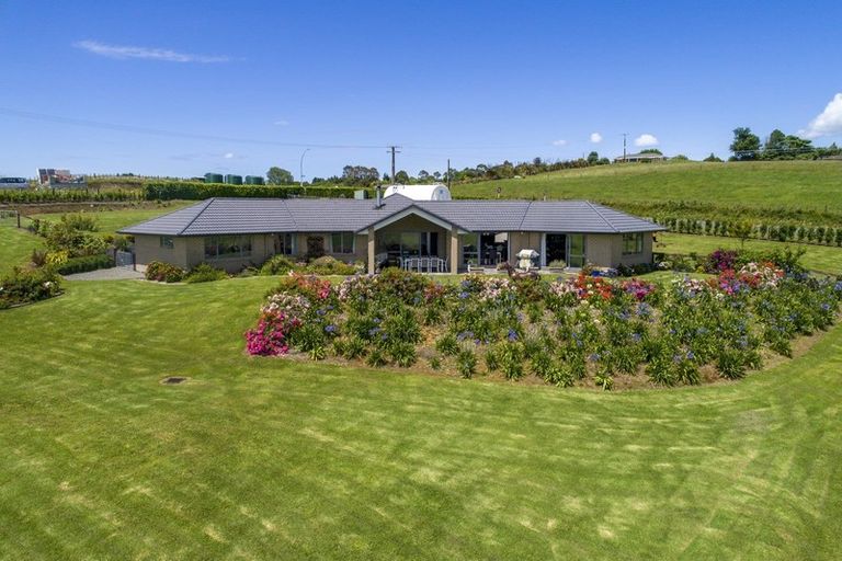 Photo of property in 515 Youngson Road, Whakamarama, Tauranga, 3179