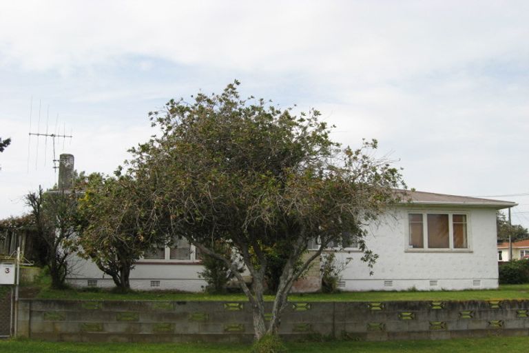 Photo of property in 3 Andrews Place, Gonville, Whanganui, 4501