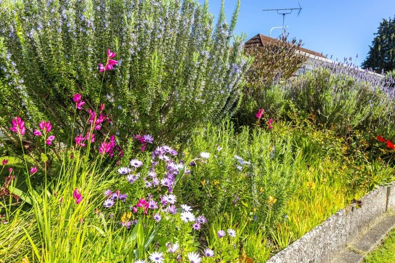 Photo of property in 2/2 Benzie Avenue, Elderslea, Upper Hutt, 5018