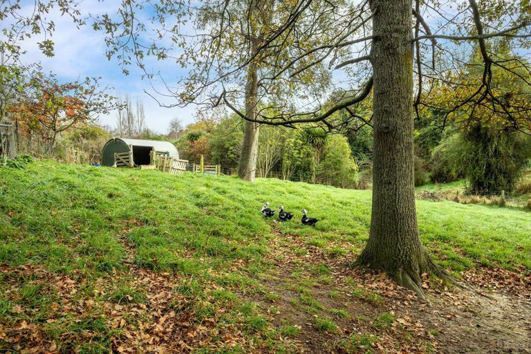 Photo of property in 80 Pye Road, Geraldine Downs, Geraldine, 7991