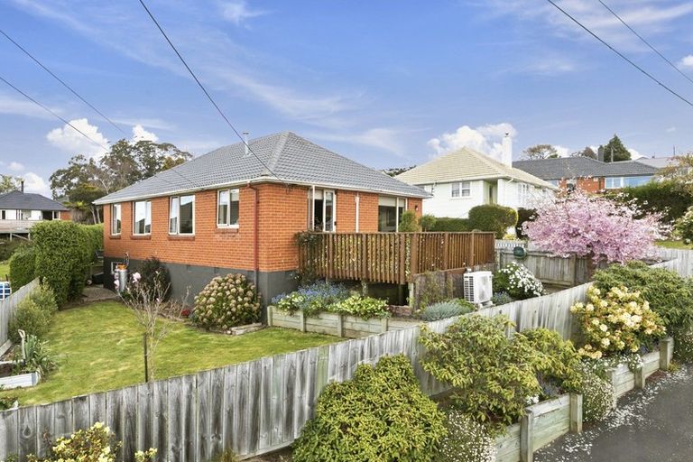 Photo of property in 11 Balmain Street, Halfway Bush, Dunedin, 9010