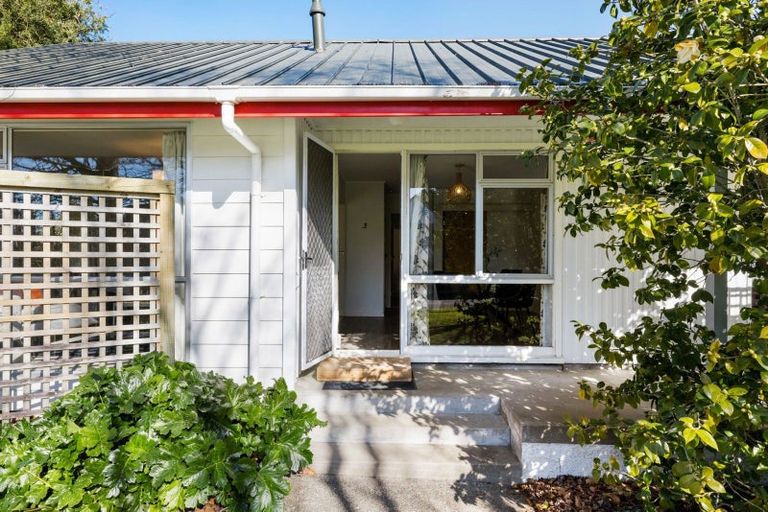 Photo of property in 21 Morrow Avenue, St Andrews, Hamilton, 3200