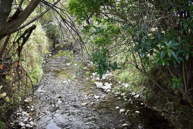 Photo of property in 12 Te Horo Beach Road, Te Horo, Otaki, 5581