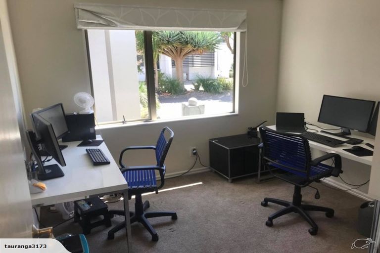 Photo of property in 116 Fourteenth Avenue, Tauranga South, Tauranga, 3112