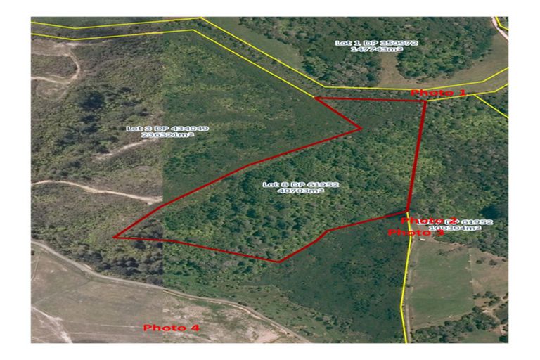 Photo of property in 244a Blackbridge Road, Dairy Flat, 0794