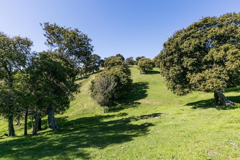 Photo of property in 455 Anaroa Road, Raukawa, Hastings, 4174