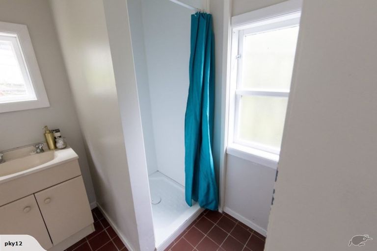 Photo of property in 52 Norway Street, Aro Valley, Wellington, 6012