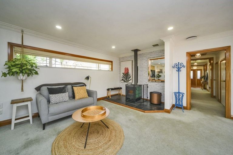 Photo of property in 57 Guy Avenue, Takaro, Palmerston North, 4410