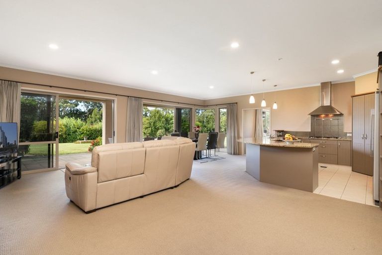 Photo of property in 415 Youngson Road, Whakamarama, Tauranga, 3179