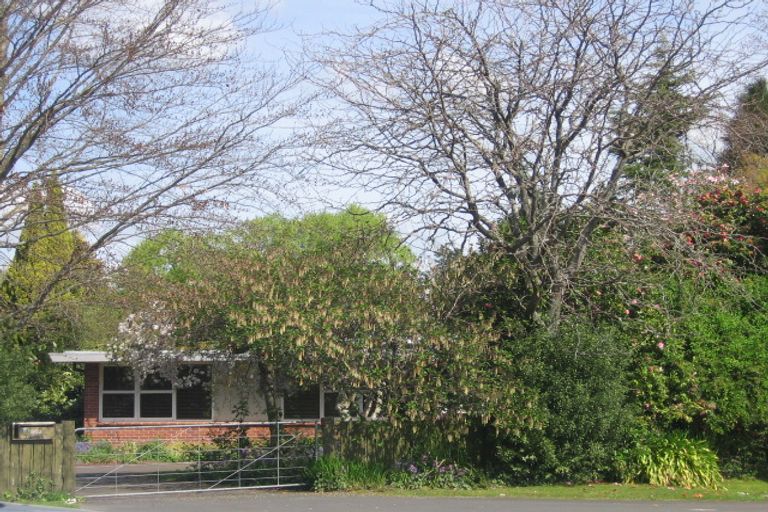 Photo of property in 262 Malfroy Road, Utuhina, Rotorua, 3015