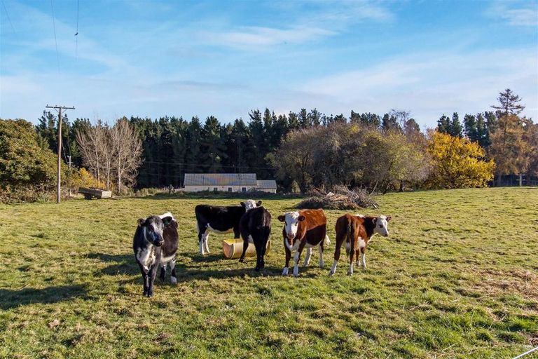 Photo of property in 918 Hunter Makikihi Road, Hunter, Timaru, 7971