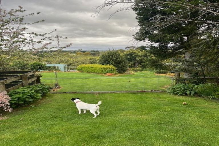 Photo of property in 1311d State Highway 2, Whakamarama, Tauranga, 3180