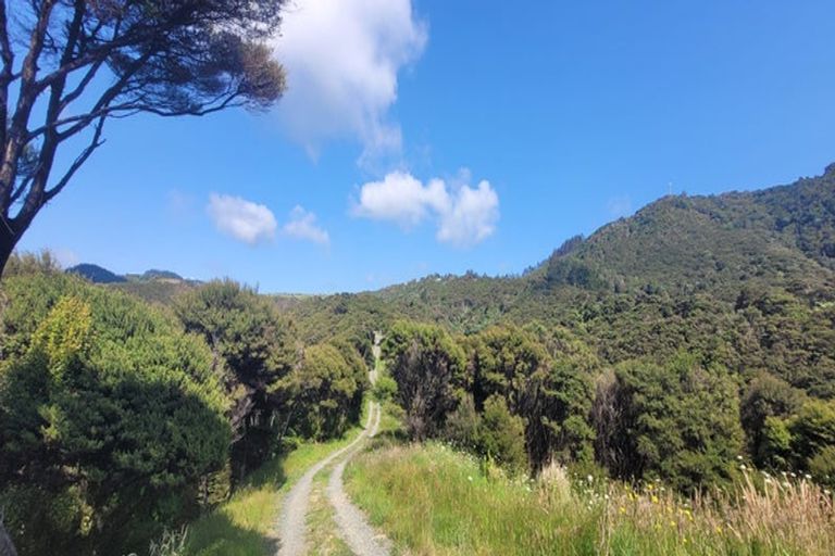 Photo of property in 38 Bowden Road, Taupo Bay, Mangonui, 0494