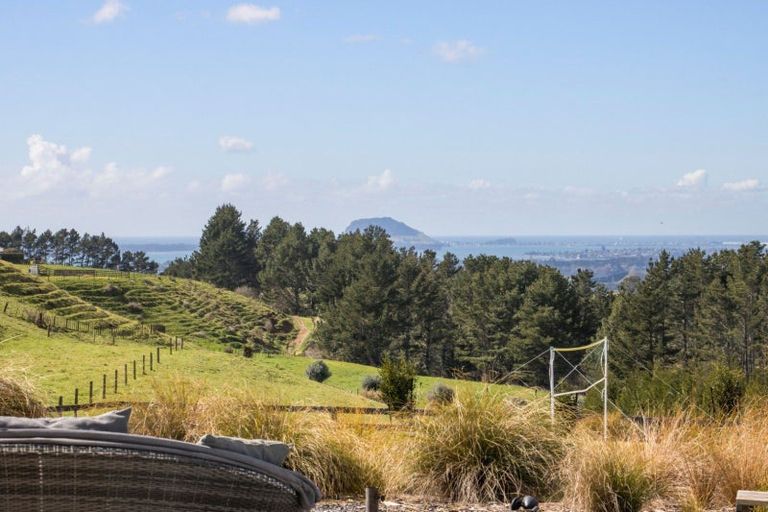 Photo of property in 349a Whakamarama Road, Whakamarama, Tauranga, 3179