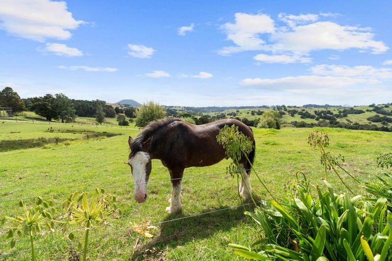 Photo of property in 53 Nursery Lane, Papamoa, 3118