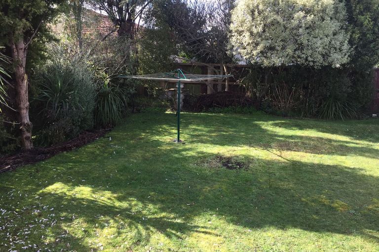 Photo of property in 60a Alison Street, Hamilton Lake, Hamilton, 3204