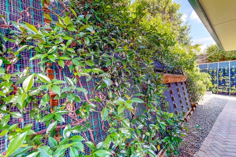 Photo of property in 230 The Booms Avenue, Thames, 3500