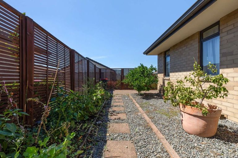 Photo of property in 7 Malta Crescent, Katikati, 3129
