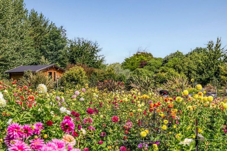 Photo of property in 134 Aranui Road, Mapua, 7005