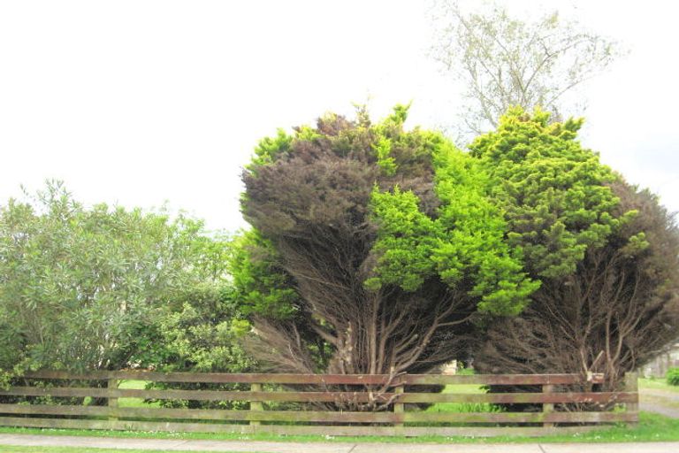 Photo of property in 11 Ford Street, Opotiki, 3122