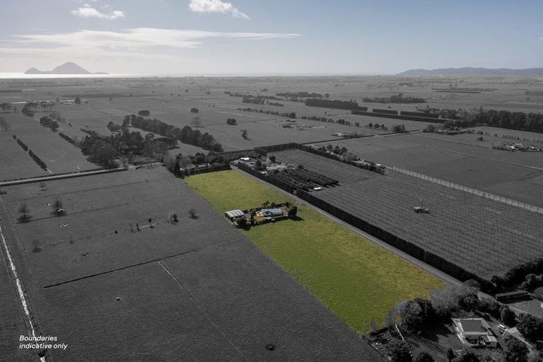 Photo of property in 125a Mclean Road, Awakeri, Whakatane, 3193