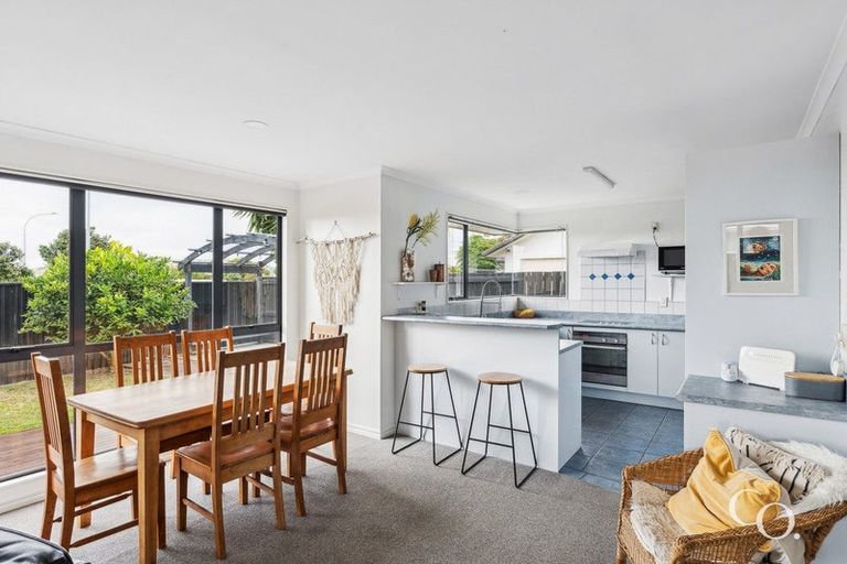 Photo of property in 41 Francevic Avenue, Mount Maunganui, 3116