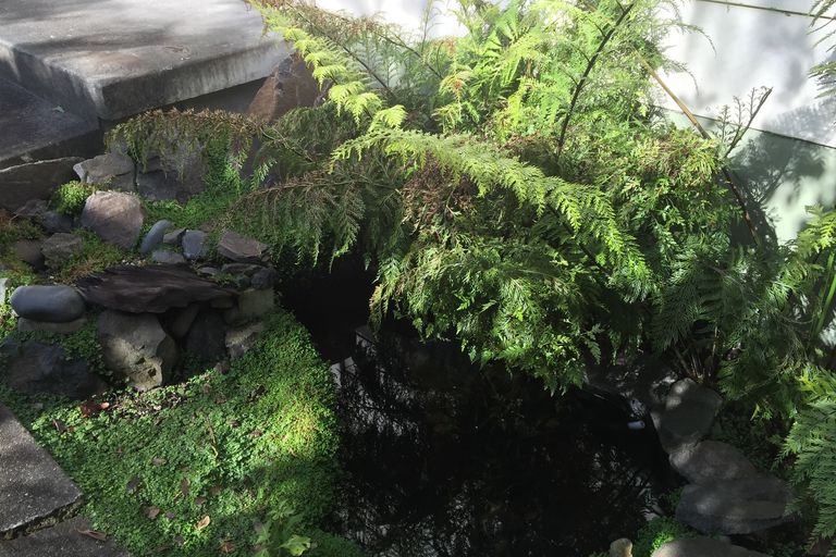 Photo of property in 60a Alison Street, Hamilton Lake, Hamilton, 3204