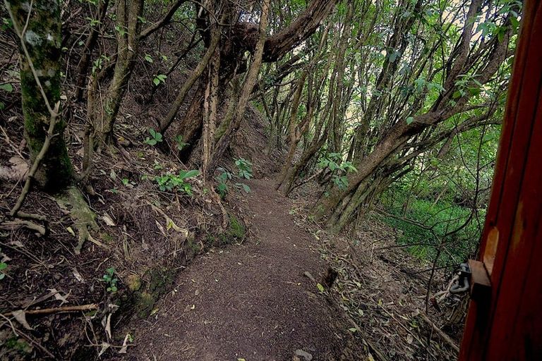 Photo of property in 24 Penryn Drive, Camborne, Porirua, 5026