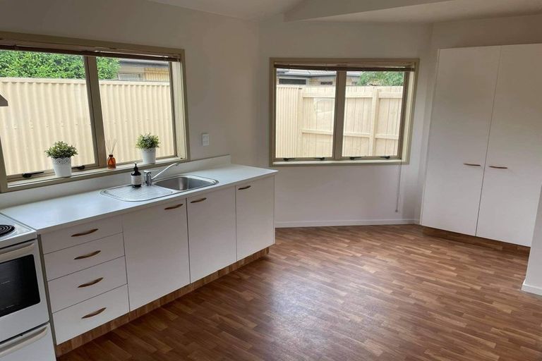 Photo of property in 209c Killarney Road, Frankton, Hamilton, 3204