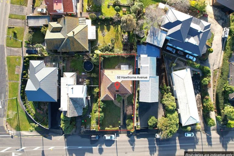 Photo of property in 52 Hawthorn Avenue, Mornington, Dunedin, 9011