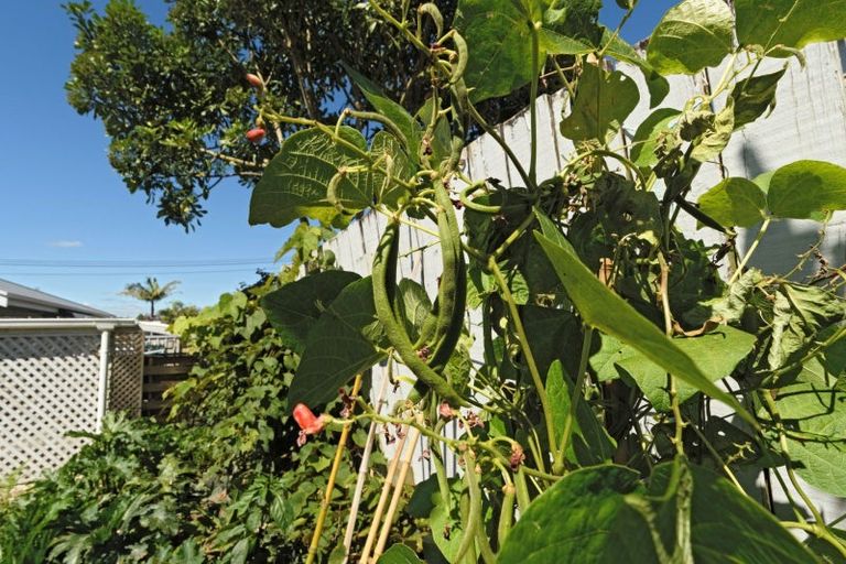 Photo of property in 96d Twelfth Avenue, Tauranga South, Tauranga, 3112