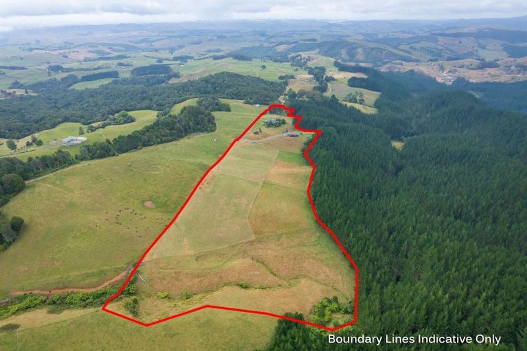 Photo of property in 88 Scott Road, Puketotara, Te Awamutu, 3876