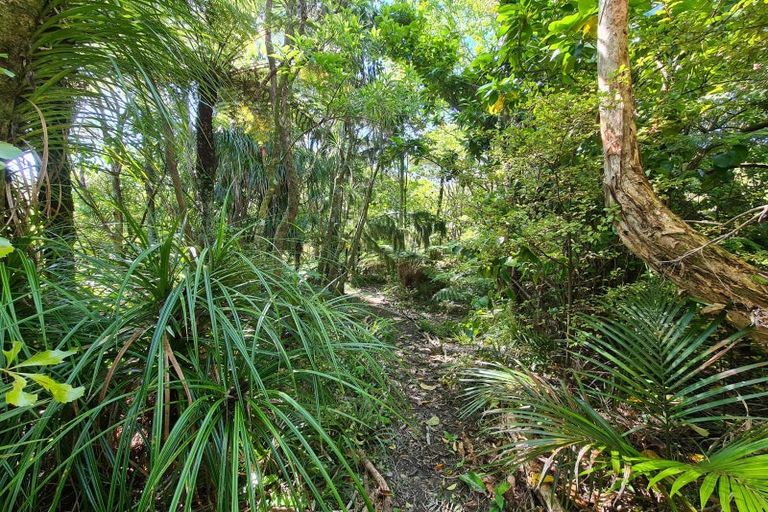 Photo of property in 1567 Rings Road, Coromandel, 3506