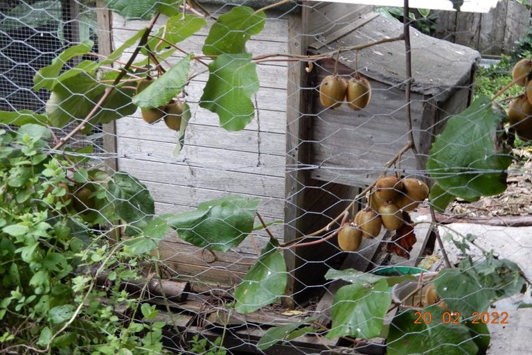 Photo of property in 45 Elbourne Street, Taradale, Napier, 4112