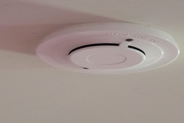 Photo of property in 25 Gulf View Road, Murrays Bay, Auckland, 0630