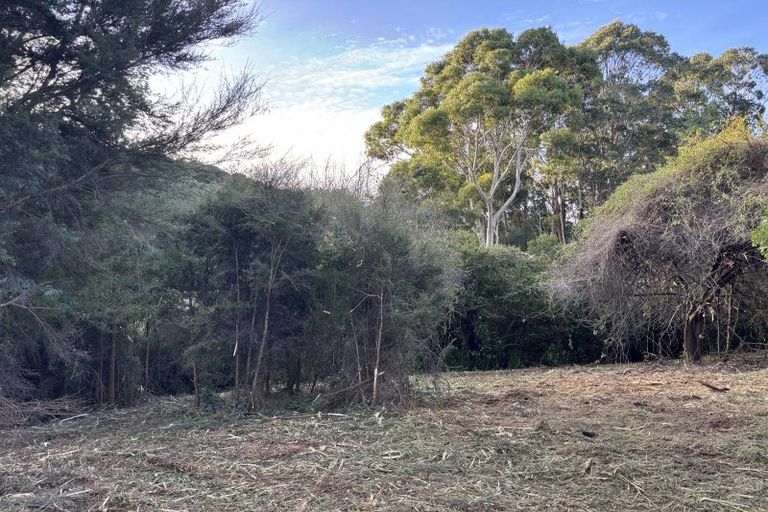 Photo of property in 40 Saddleview Place, Fairfield, Dunedin, 9076